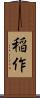 稲作 Scroll