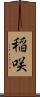 稲咲 Scroll