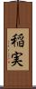 稲実 Scroll
