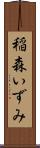 稲森いずみ Scroll