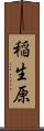 稲生原 Scroll
