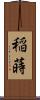 稲蒔 Scroll