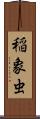 稲象虫 Scroll