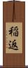 稲返 Scroll