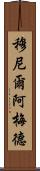 Muneer Ahmed Scroll