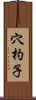 穴杓子 Scroll
