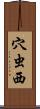 穴虫西 Scroll
