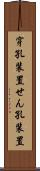 穿孔装置 Scroll