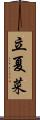 立夏菜 Scroll