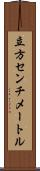 立方センチメートル Scroll