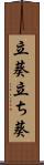 立葵 Scroll
