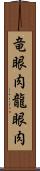 竜眼肉 Scroll