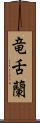 竜舌蘭 Scroll