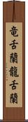竜舌蘭 Scroll