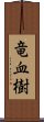 竜血樹 Scroll