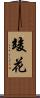竣花 Scroll