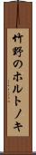 竹野のホルトノキ Scroll