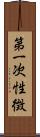 第一次性徴 Scroll