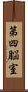 第四脳室 Scroll