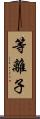 等離子 Scroll