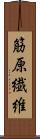 筋原繊維 Scroll