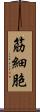 筋細胞 Scroll