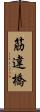 筋違橋 Scroll