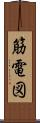 筋電図 Scroll