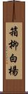 箱柳;白楊 Scroll