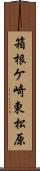 箱根ケ崎東松原 Scroll