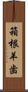 箱根羊歯 Scroll