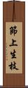 節上生枝 Scroll