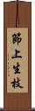 節上生枝 Scroll