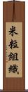 米粒組織 Scroll