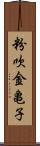粉吹金亀子 Scroll