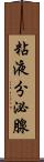 粘液分泌腺 Scroll