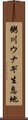 粥川ウナギ生息地 Scroll