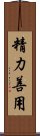 Seiryoku Zenyo Scroll