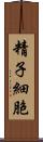 精子細胞 Scroll