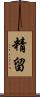 精留 Scroll