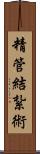 精管結紮術 Scroll