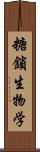 糖鎖生物学 Scroll