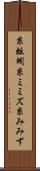 糸蚯蚓 Scroll