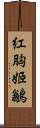 紅胸姬鶲 Scroll