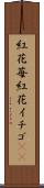 紅花苺 Scroll