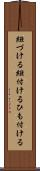 紐づける Scroll