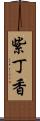 紫丁香 Scroll