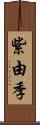 紫由季 Scroll