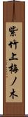 紫竹上梅ノ木 Scroll