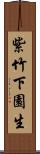 紫竹下園生 Scroll